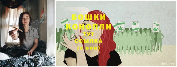 spice Ладушкин