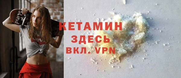 индика Гатчина