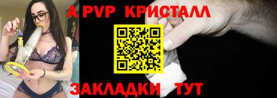 стафф Донской