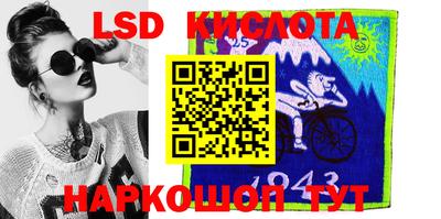 стафф Донской