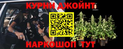 стафф Донской
