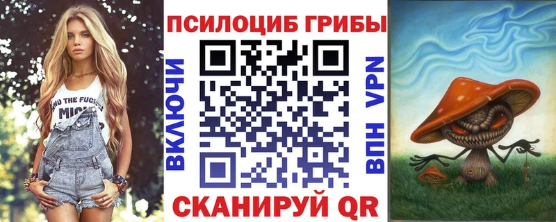мега ссылки  как найти   Майский  Галлюциногенные грибы Psilocybe 