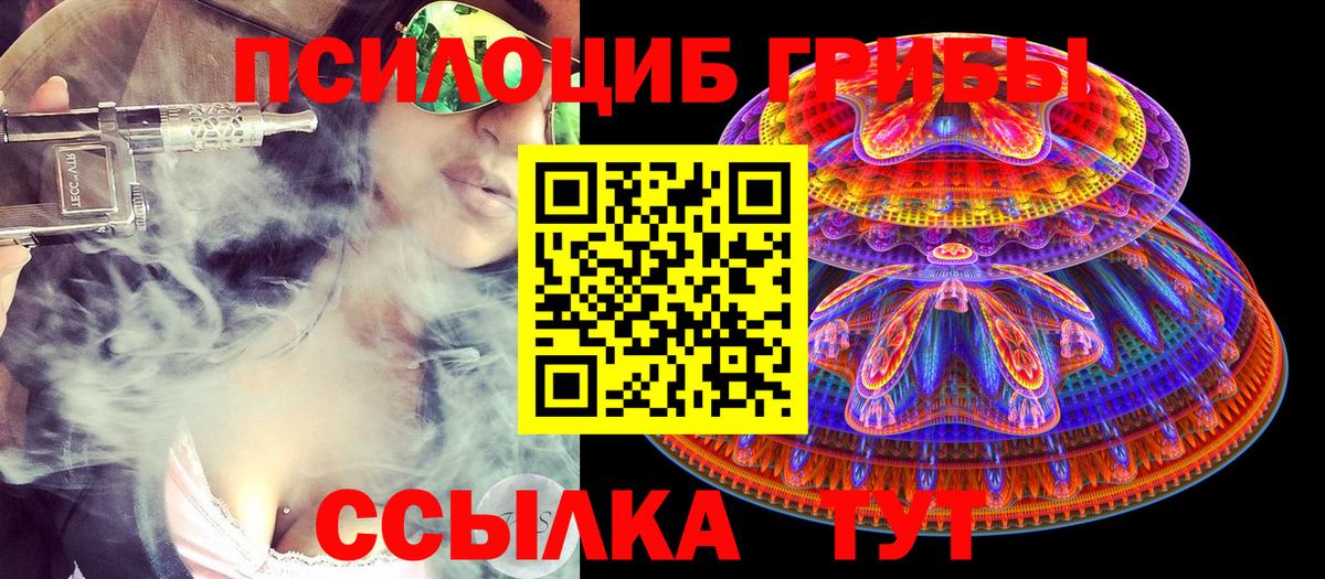 Псилоцибиновые грибы Psilocybe  Вход с VPN  Майский 